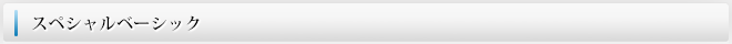 スペシャルベーシック