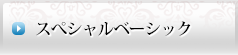 スペシャルベーシックコース